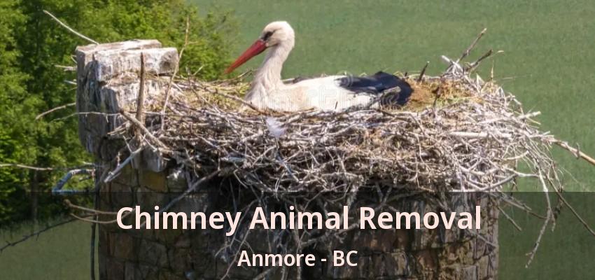 Chimney Animal Removal Anmore - BC