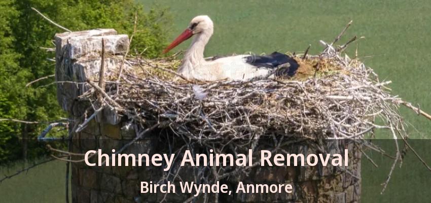 Chimney Animal Removal Birch Wynde, Anmore - BC