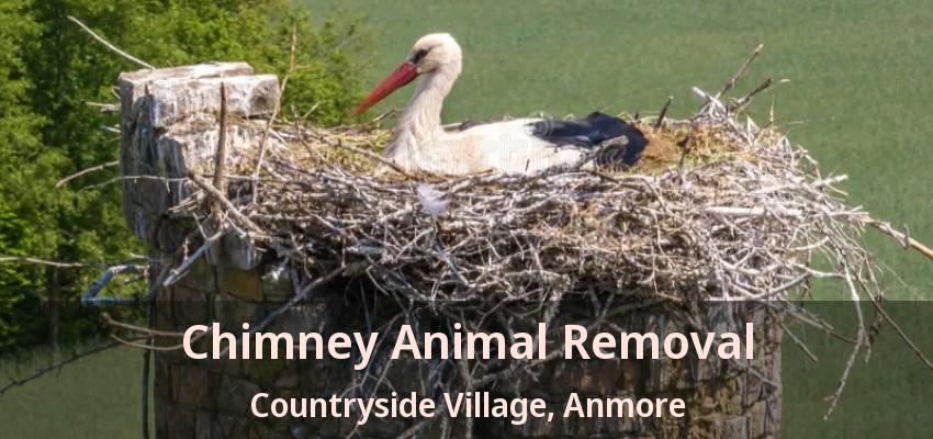 Chimney Animal Removal Countryside Village, Anmore - BC