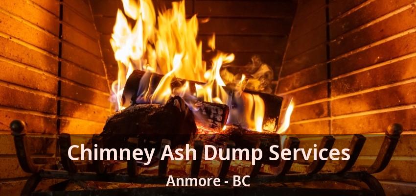 Chimney Ash Dump Services Anmore - BC