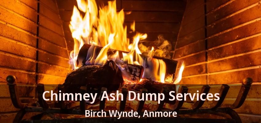 Chimney Ash Dump Services Birch Wynde, Anmore - BC