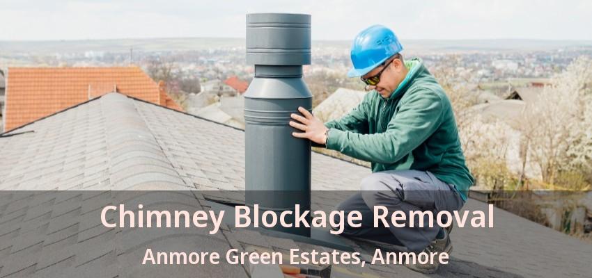 Chimney Blockage Removal Anmore Green Estates, Anmore - BC