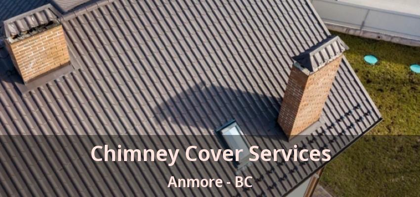 Chimney Cover Services Anmore - BC