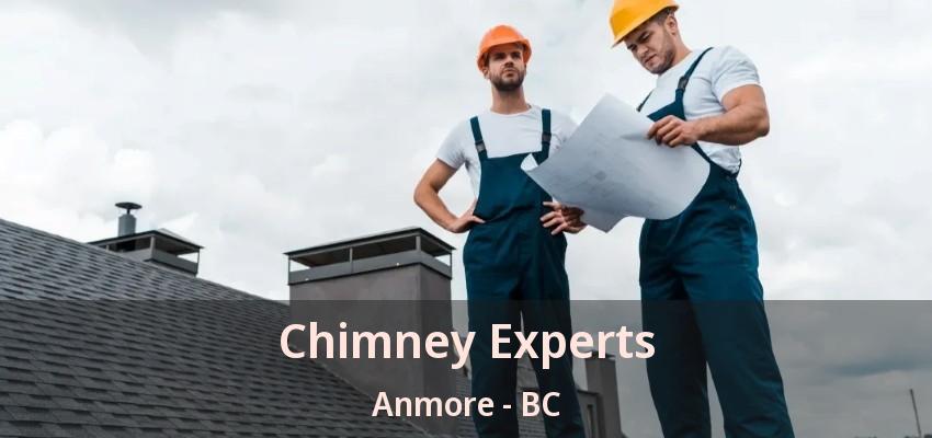 Chimney Experts Anmore - BC