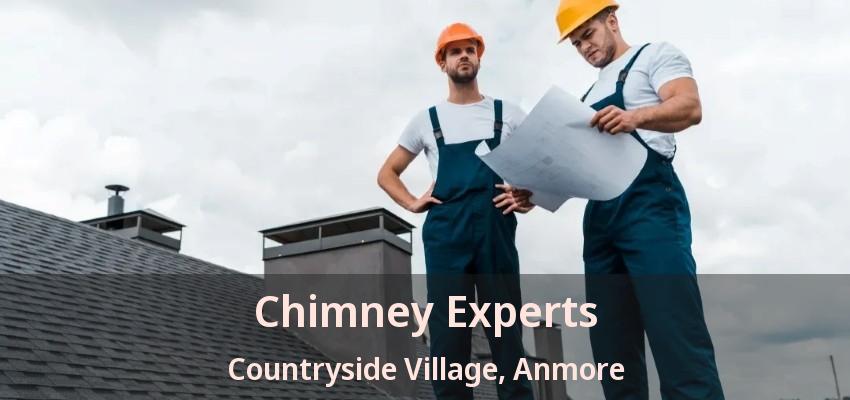 Chimney Experts Countryside Village, Anmore - BC