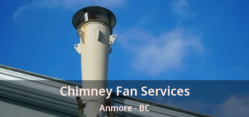 Chimney Fan Services Anmore - BC