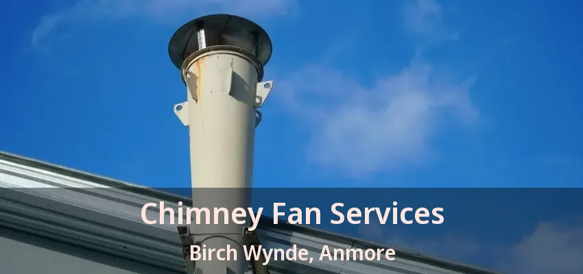 Chimney Fan Services Birch Wynde, Anmore - BC