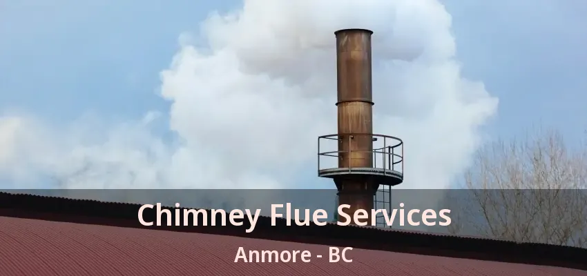 Chimney Flue Services Anmore - BC