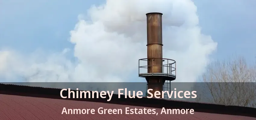 Chimney Flue Services Anmore Green Estates, Anmore - BC