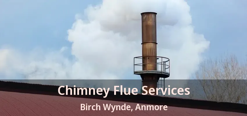 Chimney Flue Services Birch Wynde, Anmore - BC