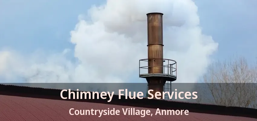 Chimney Flue Services Countryside Village, Anmore - BC