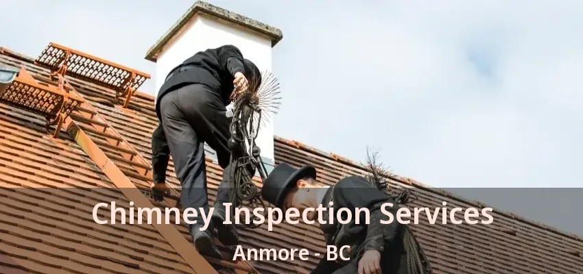 Chimney Inspection Services Anmore - BC
