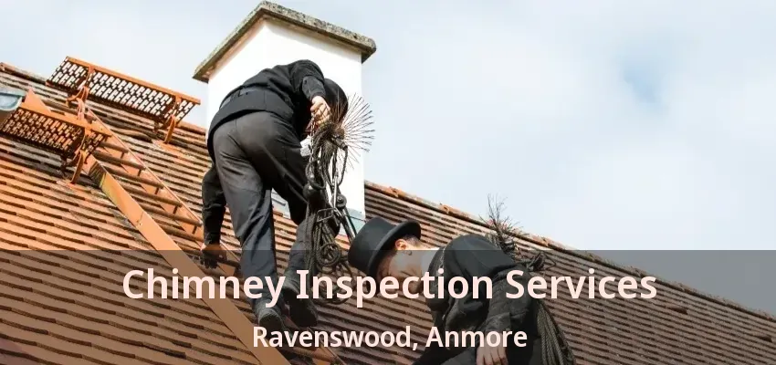 Chimney Inspection Services Ravenswood, Anmore - BC