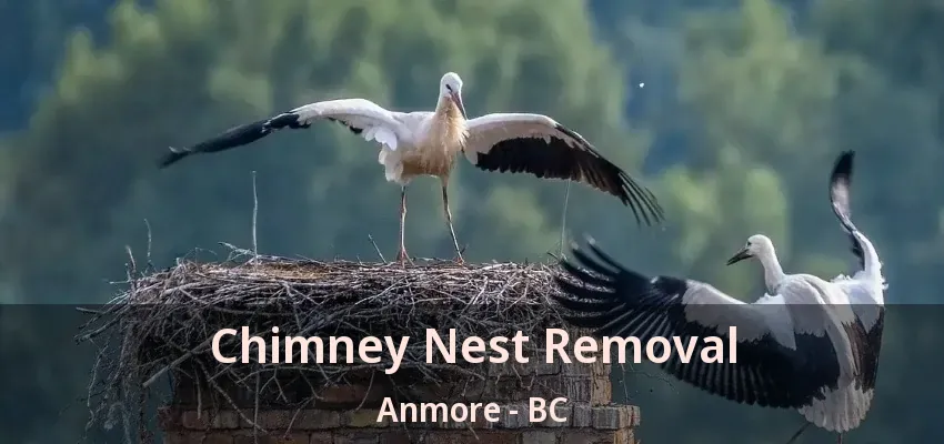 Chimney Nest Removal Anmore - BC