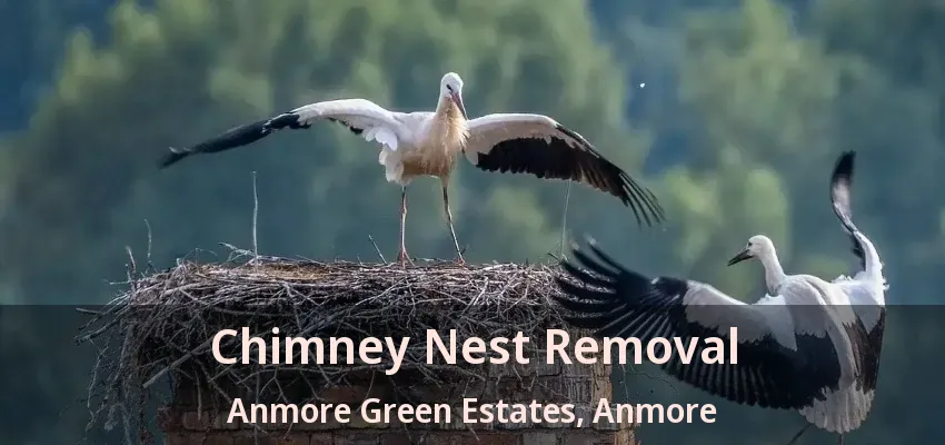 Chimney Nest Removal Anmore Green Estates, Anmore - BC