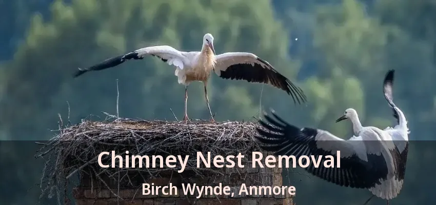 Chimney Nest Removal Birch Wynde, Anmore - BC