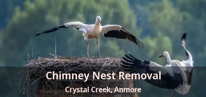 Chimney Nest Removal Crystal Creek, Anmore - BC