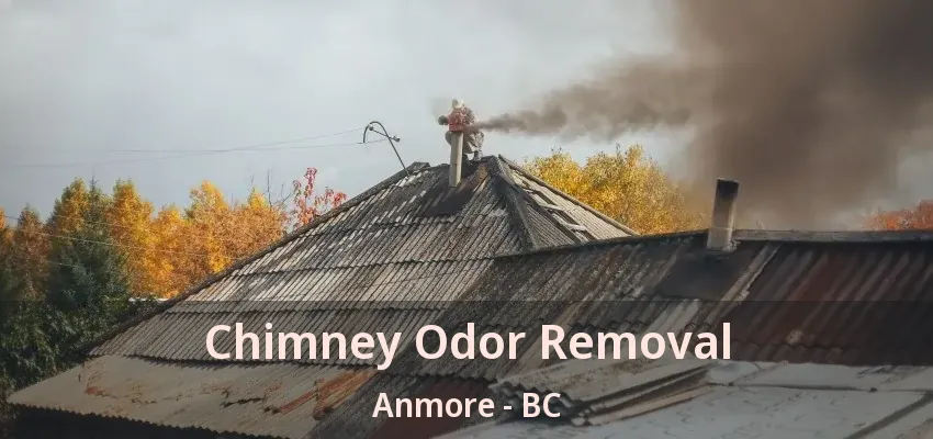 Chimney Odor Removal Anmore - BC