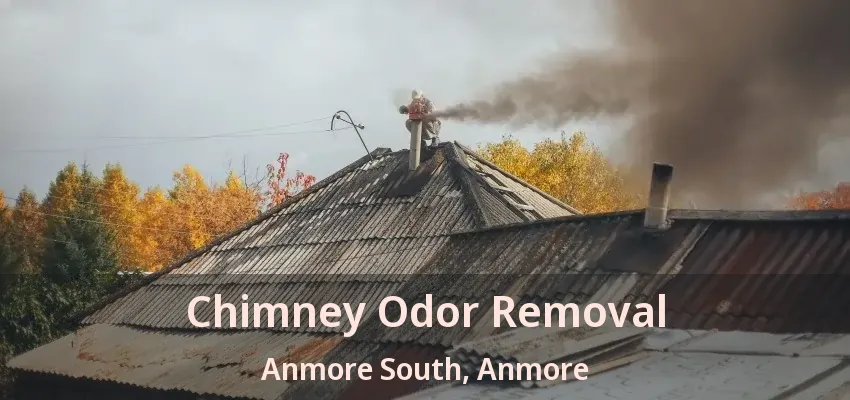 Chimney Odor Removal Anmore South, Anmore - BC