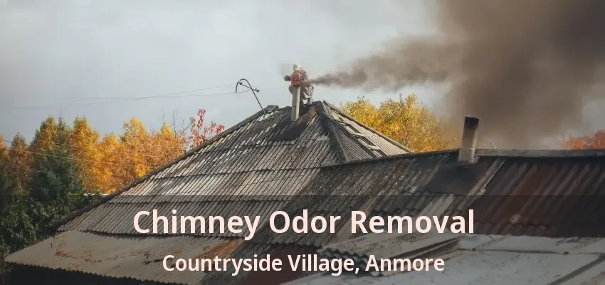 Chimney Odor Removal Countryside Village, Anmore - BC
