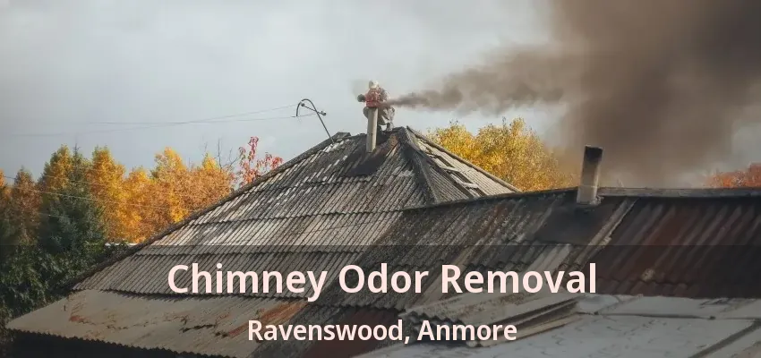 Chimney Odor Removal Ravenswood, Anmore - BC