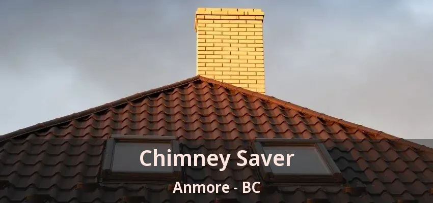 Chimney Saver Anmore - BC