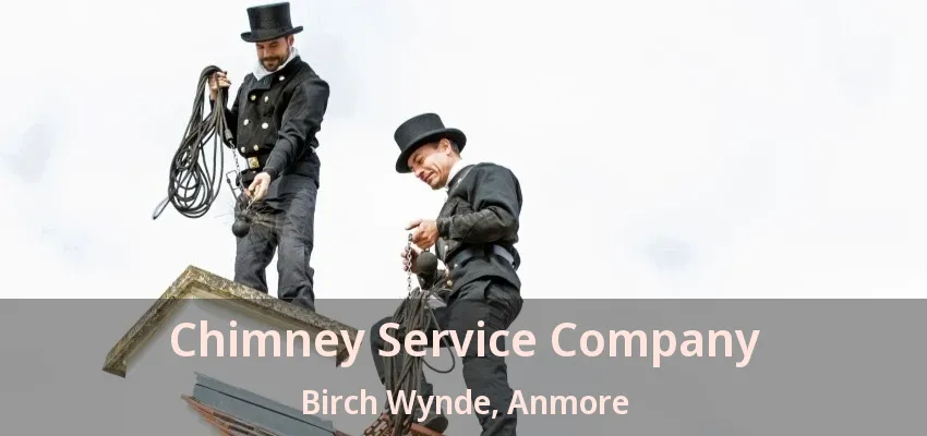 Chimney Service Company Birch Wynde, Anmore - BC