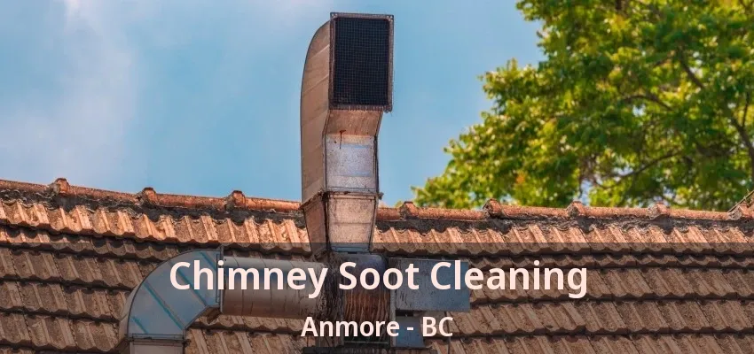 Chimney Soot Cleaning Anmore - BC