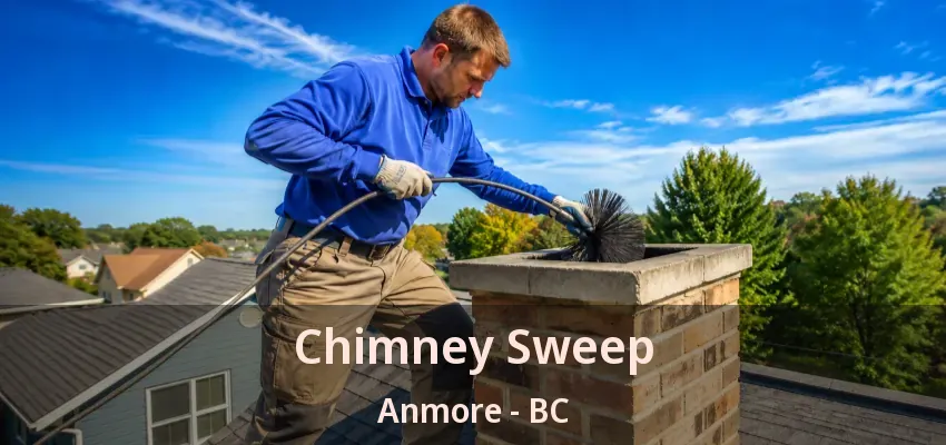Chimney Sweep Anmore - BC