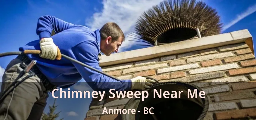 Chimney Sweep Near Me Anmore - BC