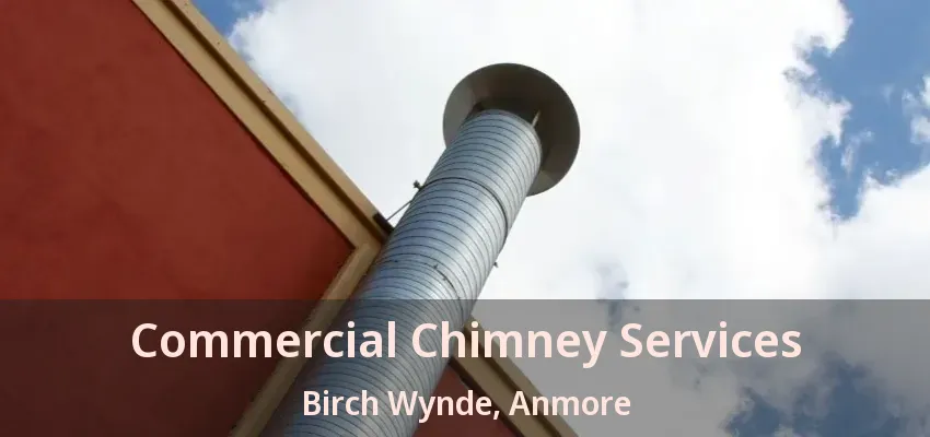 Commercial Chimney Services Birch Wynde, Anmore - BC