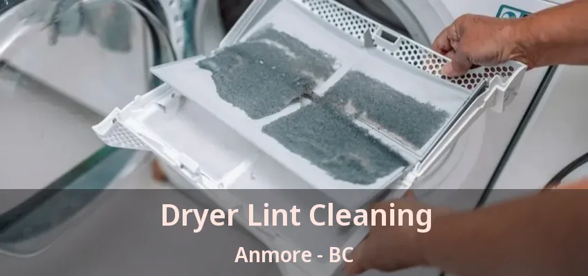 Dryer Lint Cleaning Anmore - BC