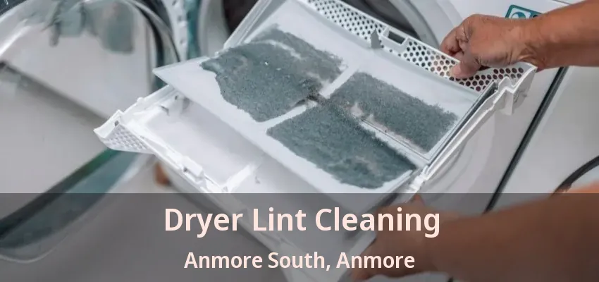 Dryer Lint Cleaning Anmore South, Anmore - BC