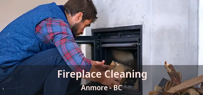 Fireplace Cleaning Anmore - BC