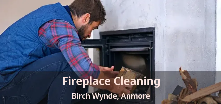 Fireplace Cleaning Birch Wynde, Anmore - BC