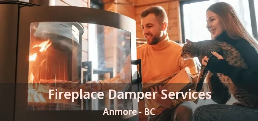 Fireplace Damper Services Anmore - BC