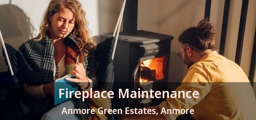 Fireplace Maintenance Anmore Green Estates, Anmore - BC