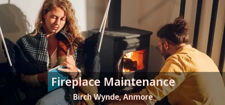 Fireplace Maintenance Birch Wynde, Anmore - BC