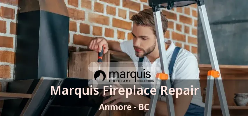 Marquis Fireplace Repair Anmore - BC