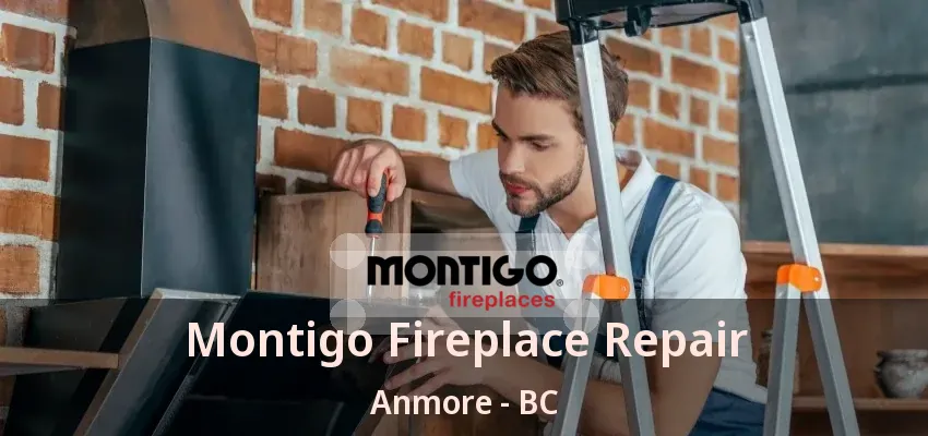 Montigo Fireplace Repair Anmore - BC