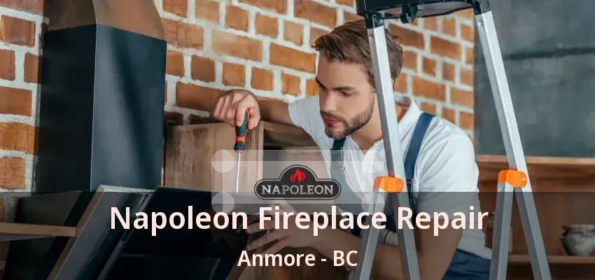 Napoleon Fireplace Repair Anmore - BC