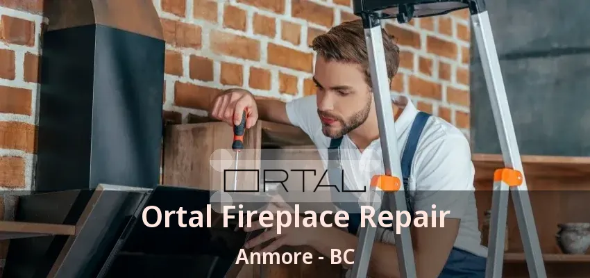 Ortal Fireplace Repair Anmore - BC