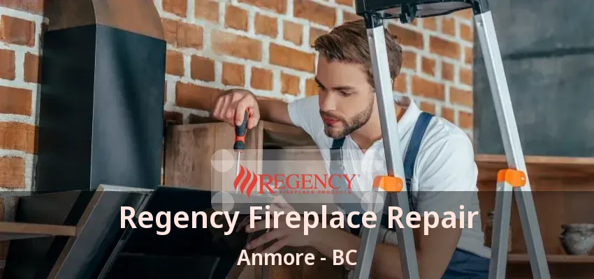Regency Fireplace Repair Anmore - BC