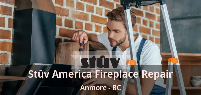 Stûv America Fireplace Repair Anmore - BC