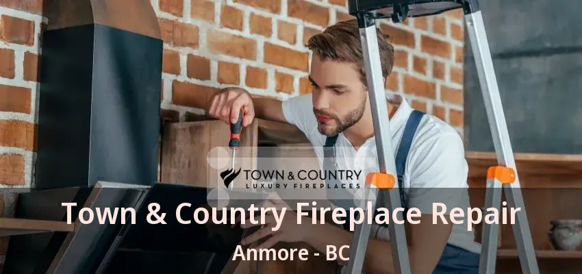 Town & Country Fireplace Repair Anmore - BC