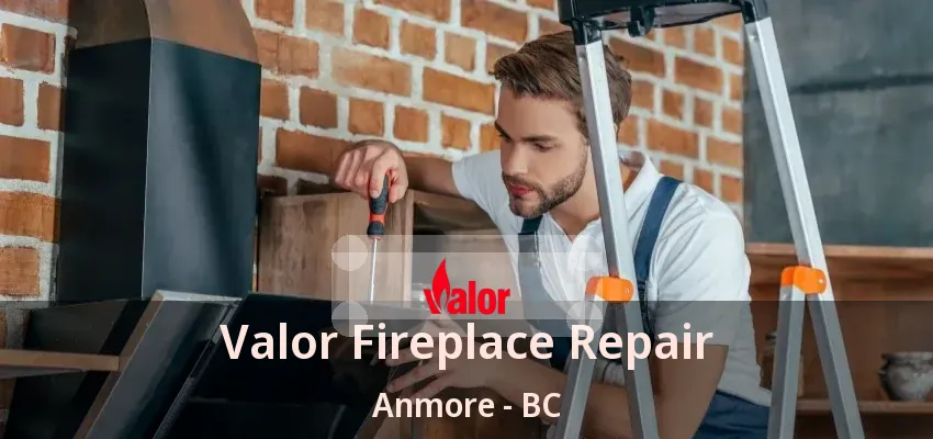 Valor Fireplace Repair Anmore - BC