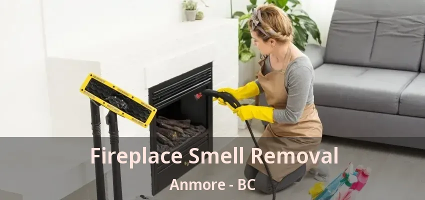 Fireplace Smell Removal Anmore - BC