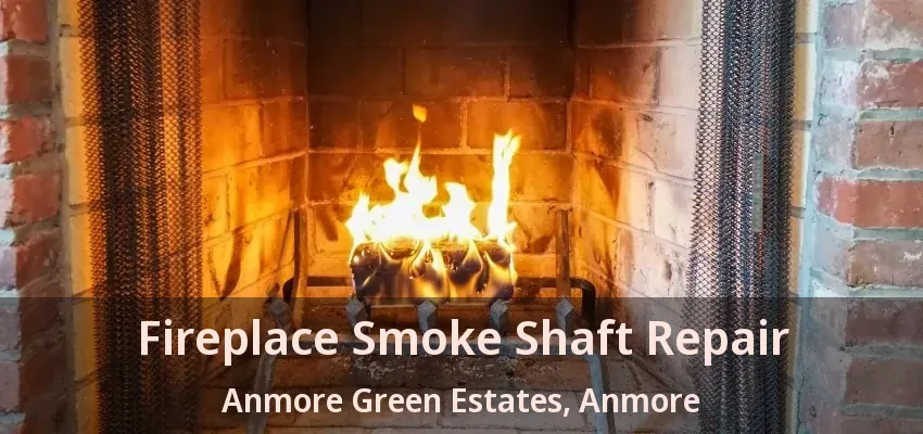 Fireplace Smoke Shaft Repair Anmore Green Estates, Anmore - BC