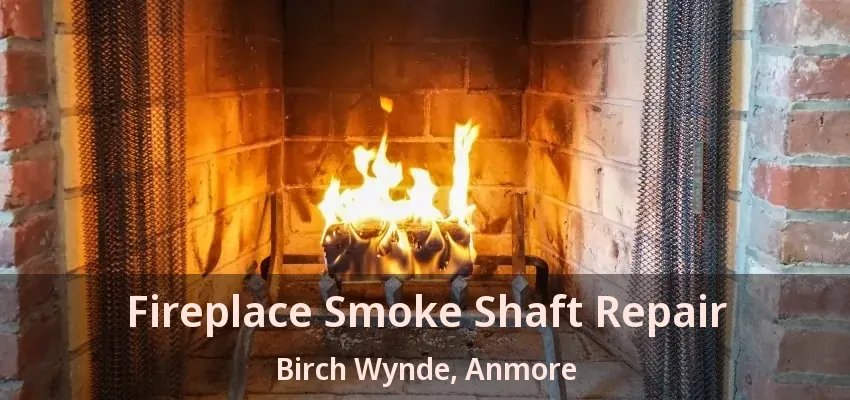Fireplace Smoke Shaft Repair Birch Wynde, Anmore - BC
