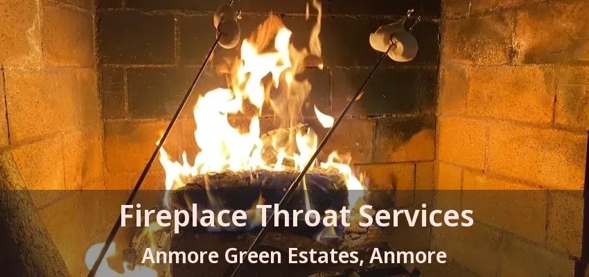 Fireplace Throat Services Anmore Green Estates, Anmore - BC